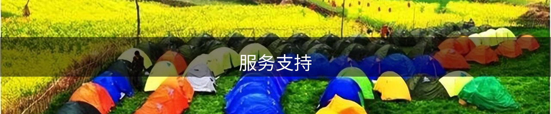 服务支持